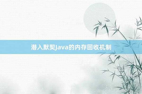 潜入默契Java的内存回收机制