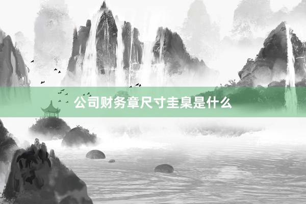 公司财务章尺寸圭臬是什么