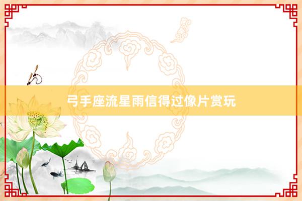 弓手座流星雨信得过像片赏玩
